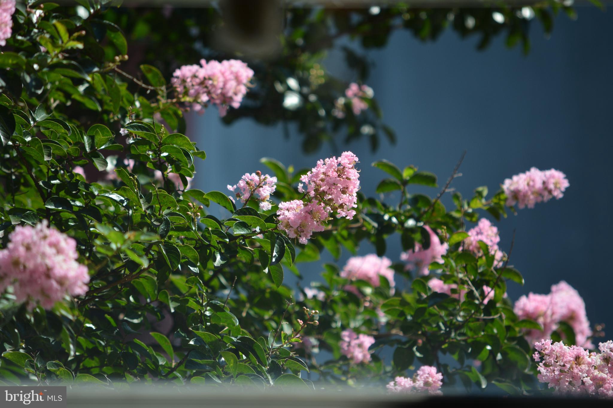 EAST KENSINGTON - Residential Lease