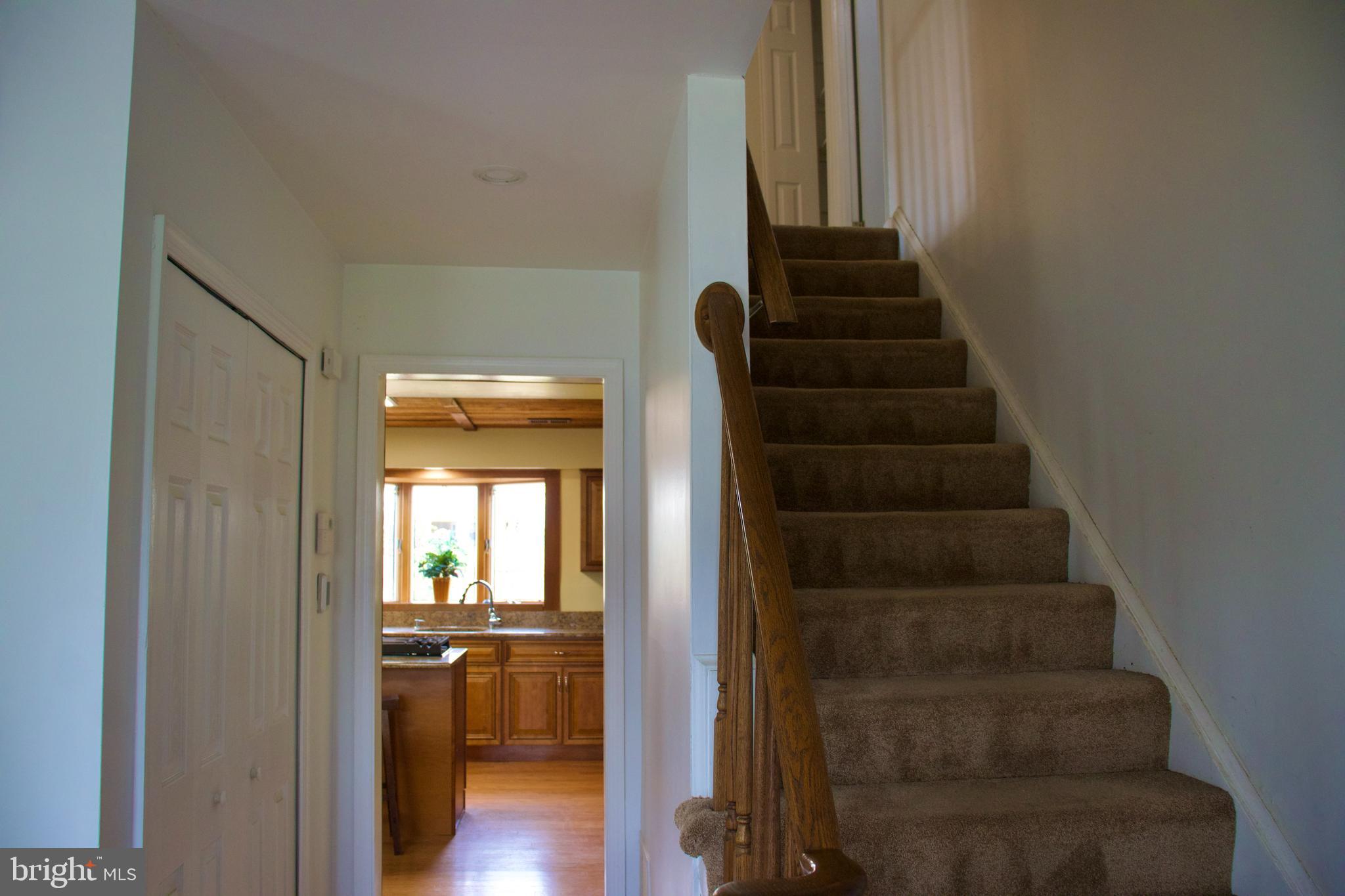 CHESTNUT HILL ESTATES - Residential