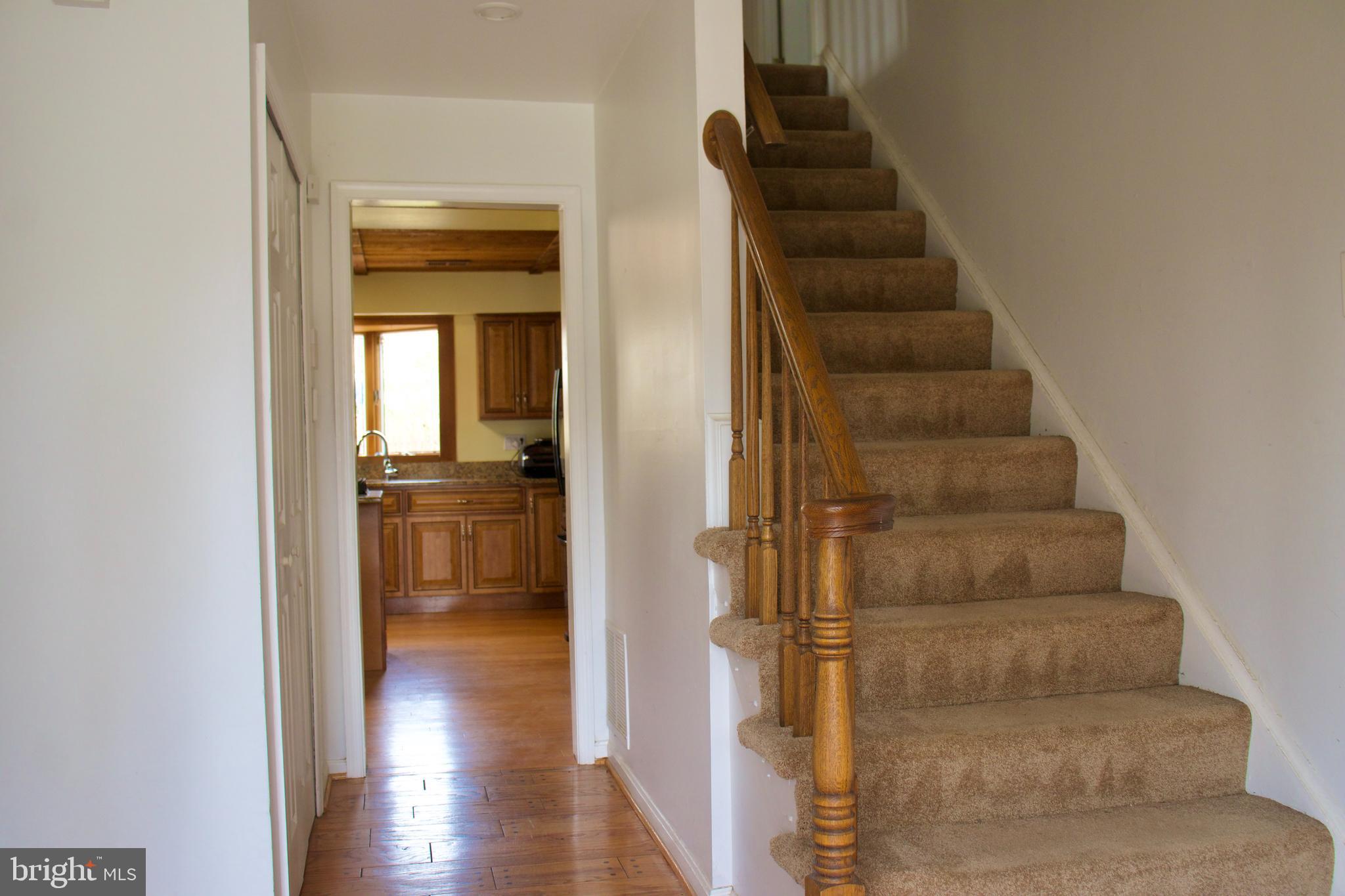 CHESTNUT HILL ESTATES - Residential