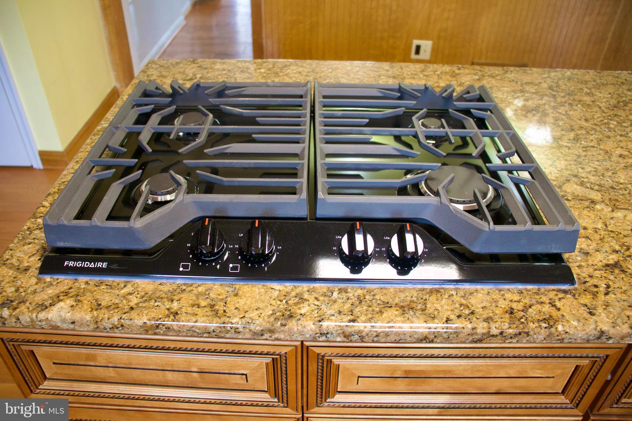 CHESTNUT HILL ESTATES - Residential