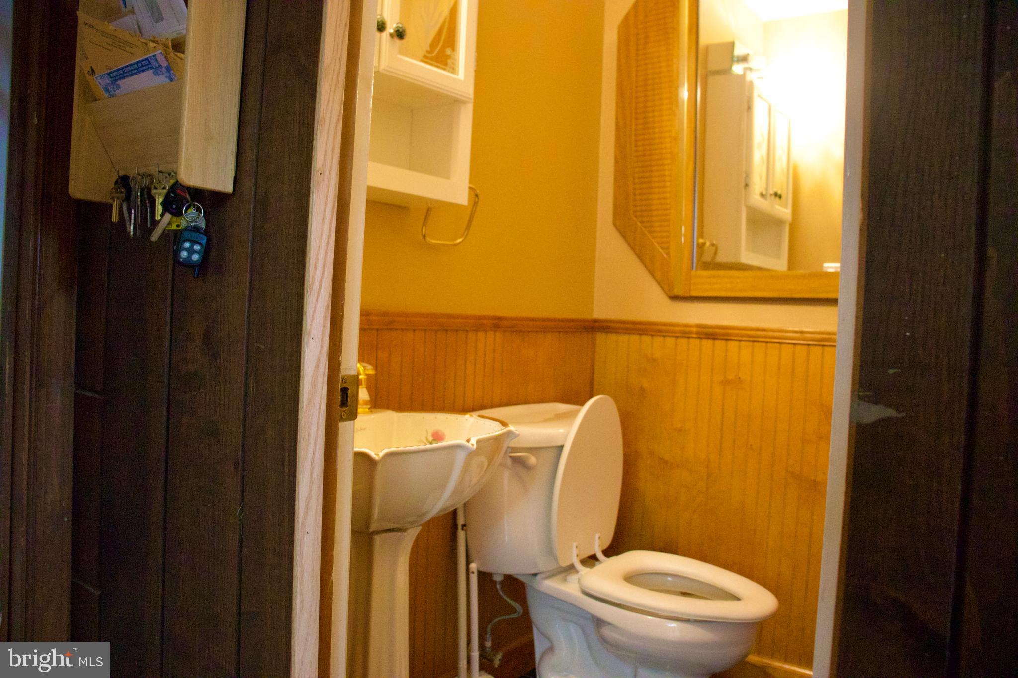 CHESTNUT HILL ESTATES - Residential