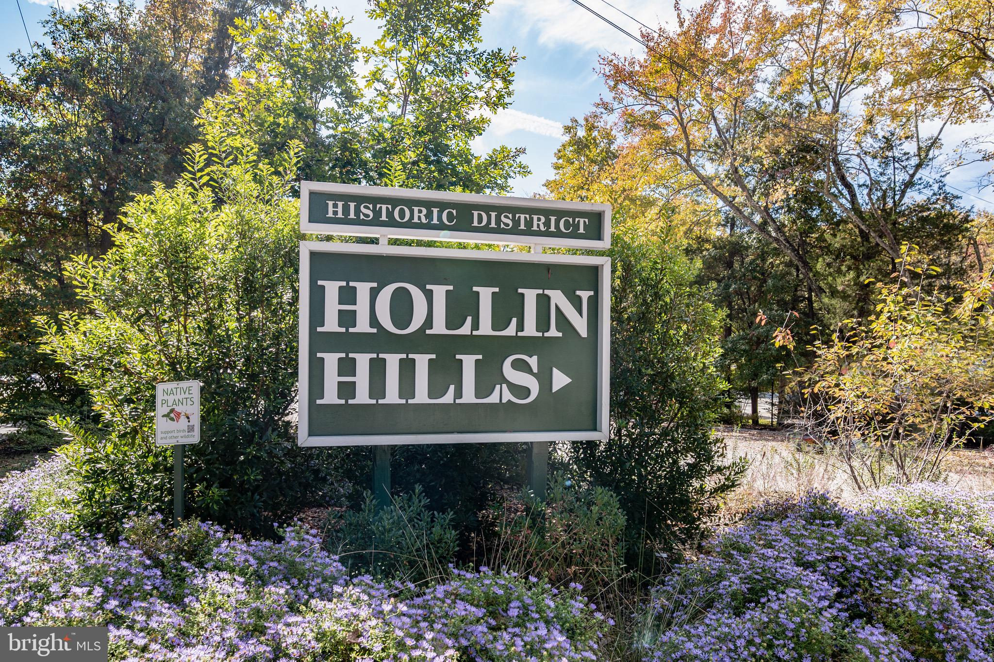 HOLLIN HILLS - Residential