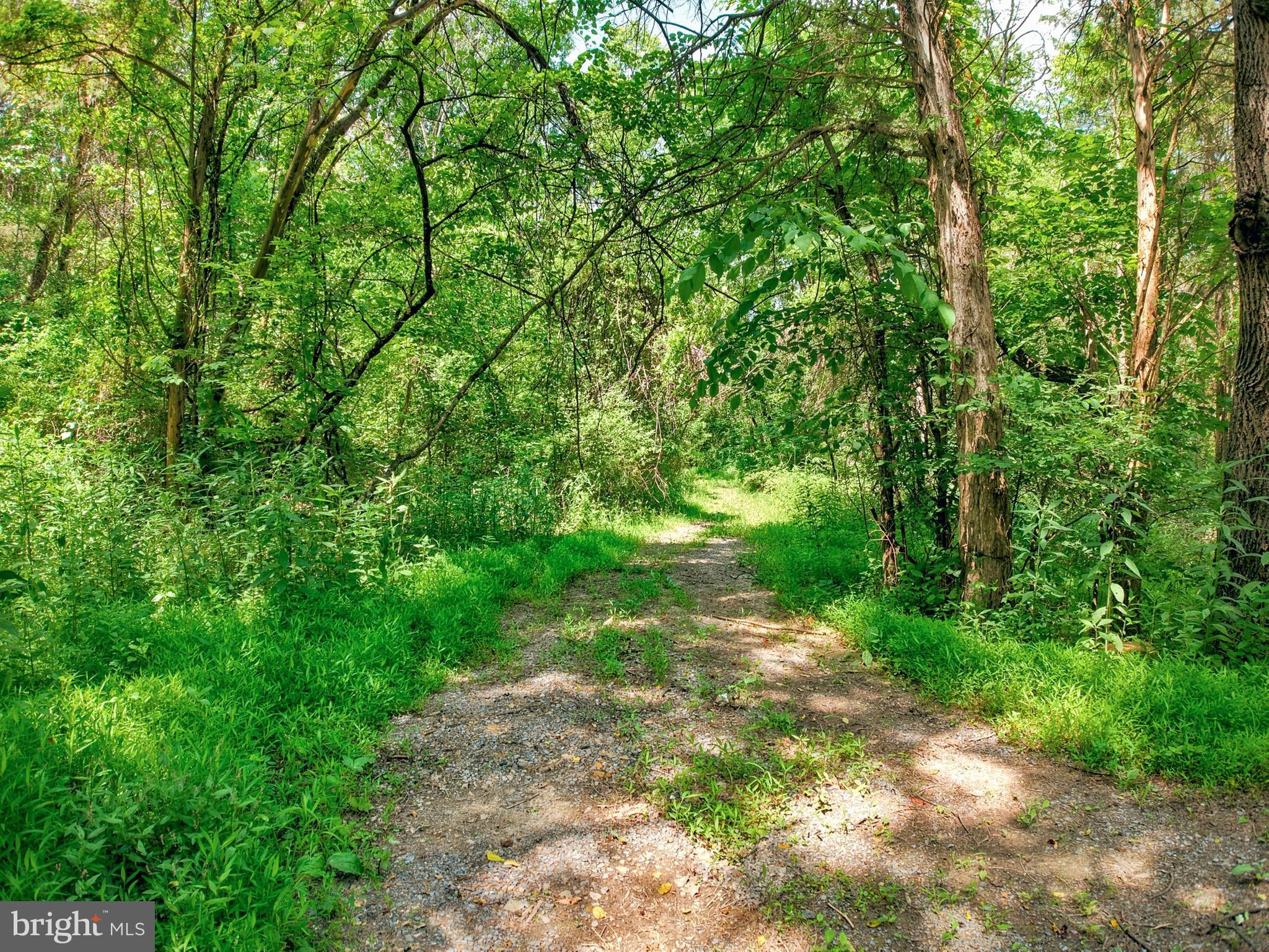 MOUTAIN SLOPE LANE LANE