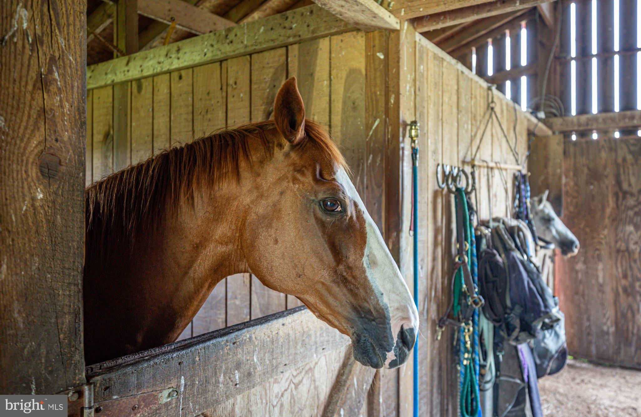 POTOMAC CREEK ESTATES - Residential