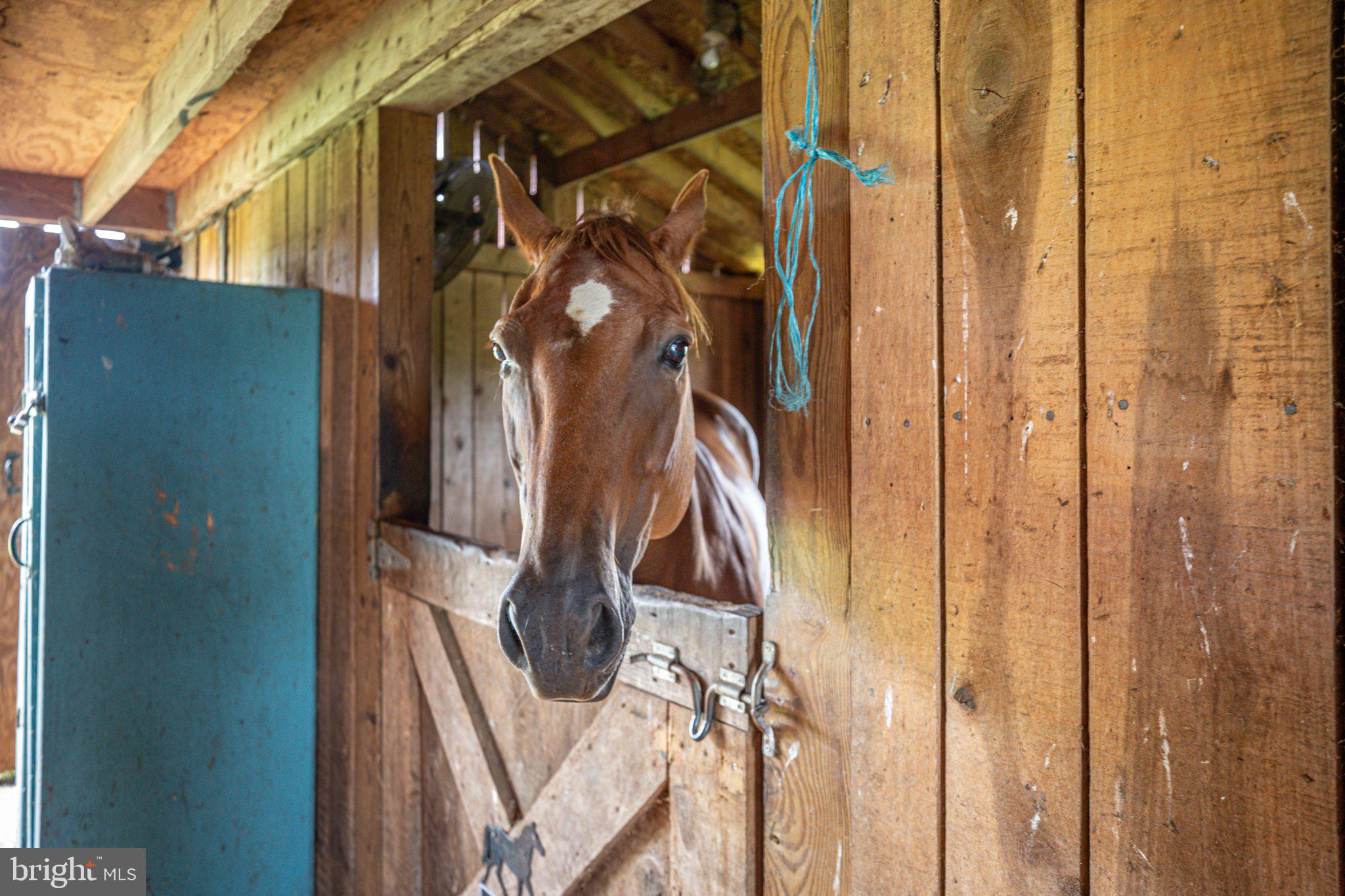 POTOMAC CREEK ESTATES - Residential