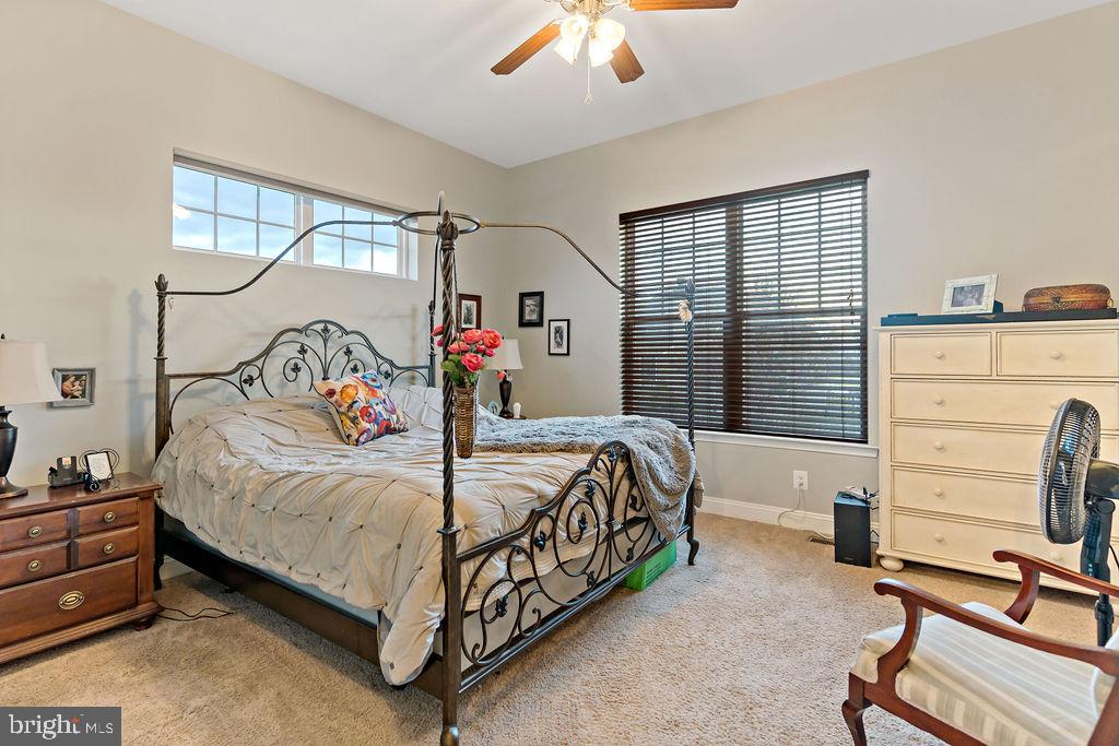 ARCADIA SPRINGS - Residential