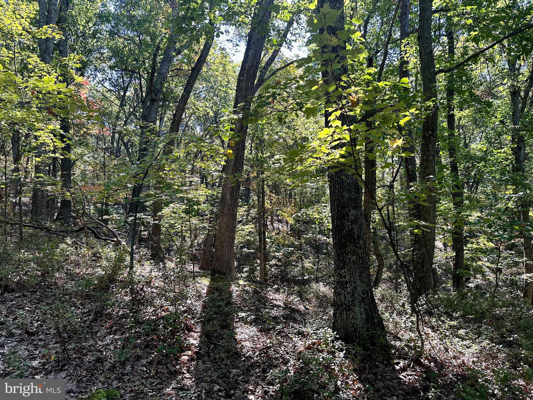 SPRING GAP MOUNTAIN - Land