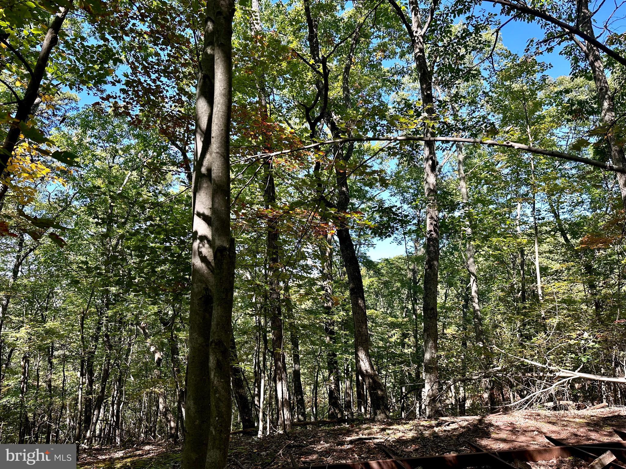 SPRING GAP MOUNTAIN - Land