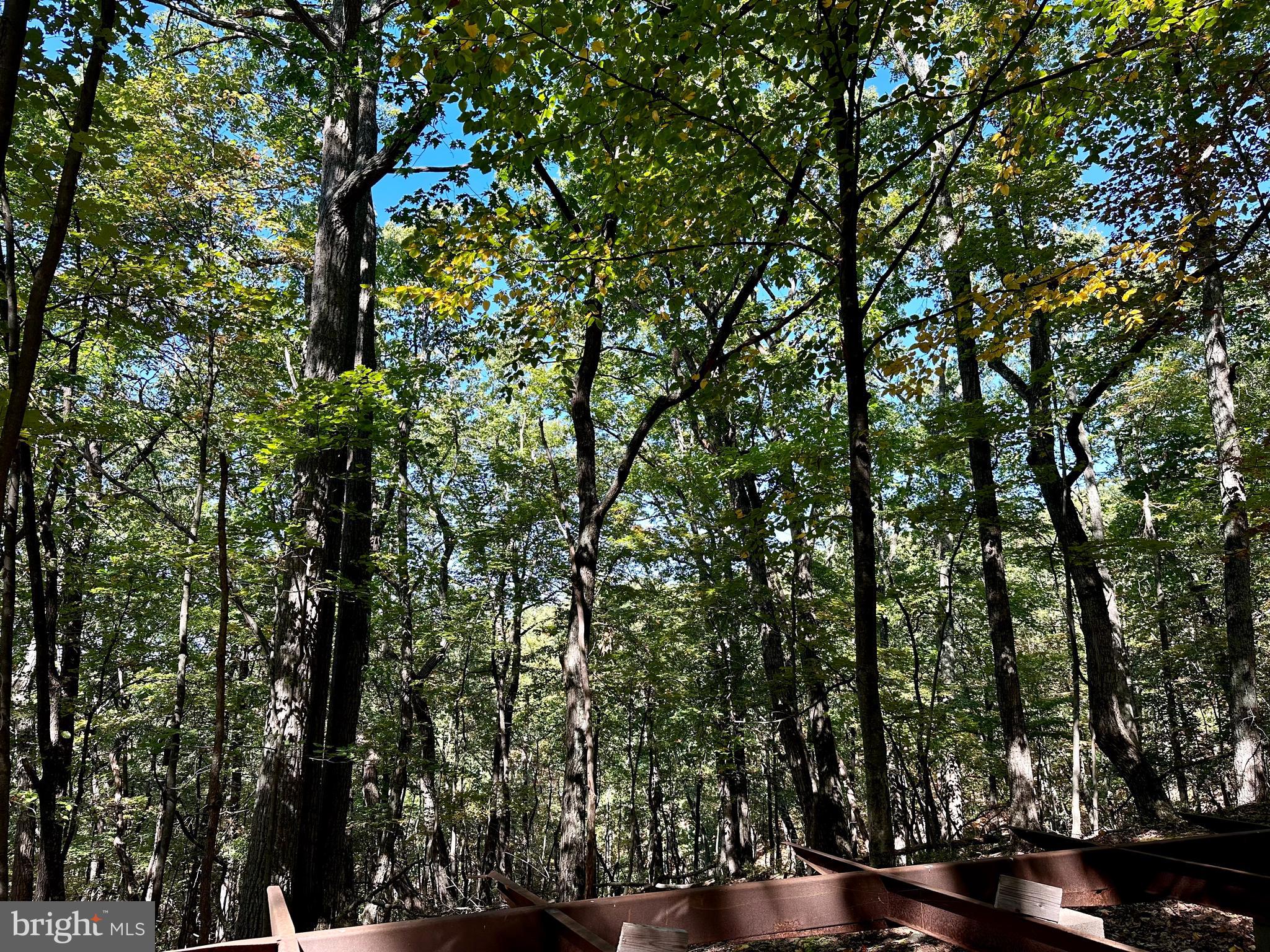 SPRING GAP MOUNTAIN - Land