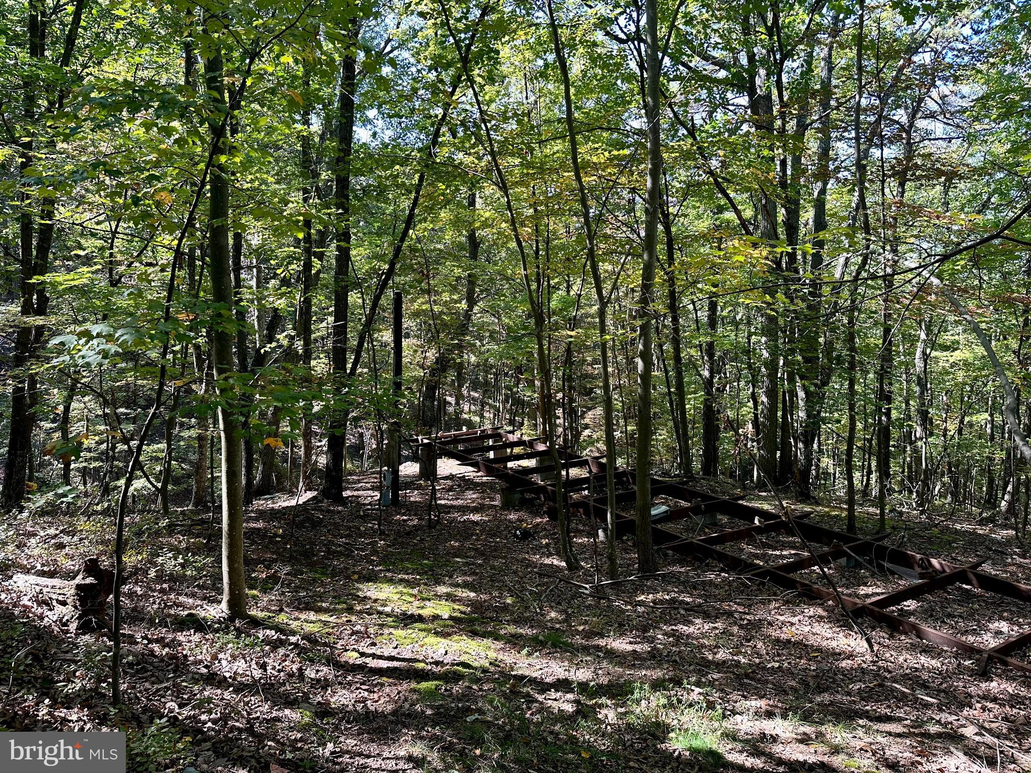 SPRING GAP MOUNTAIN - Land