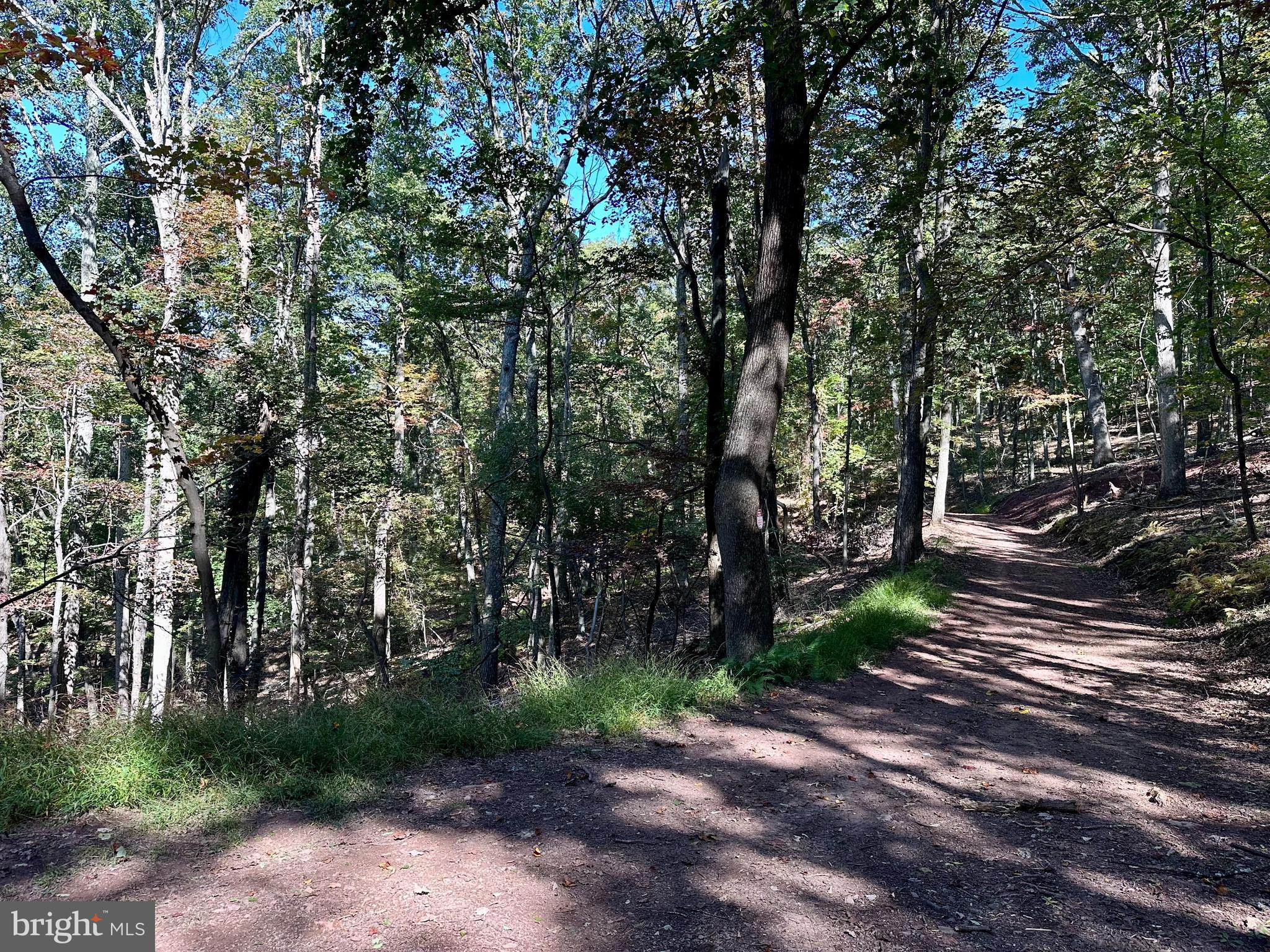 SPRING GAP MOUNTAIN - Land