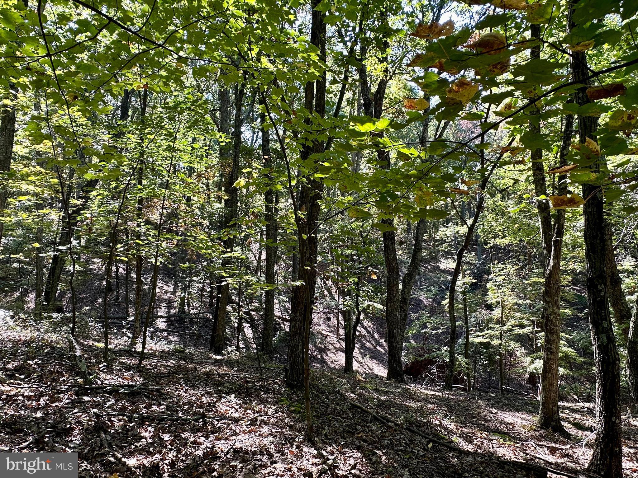 SPRING GAP MOUNTAIN - Land