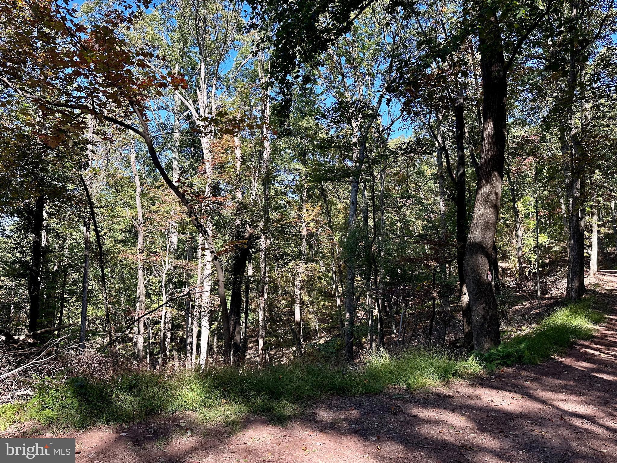 SPRING GAP MOUNTAIN - Land