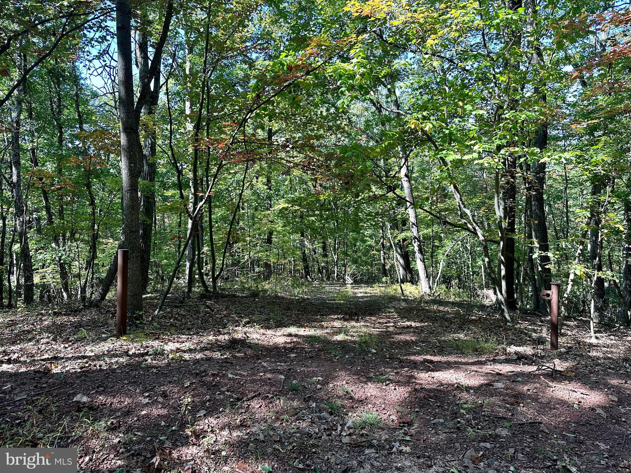 SPRING GAP MOUNTAIN - Land