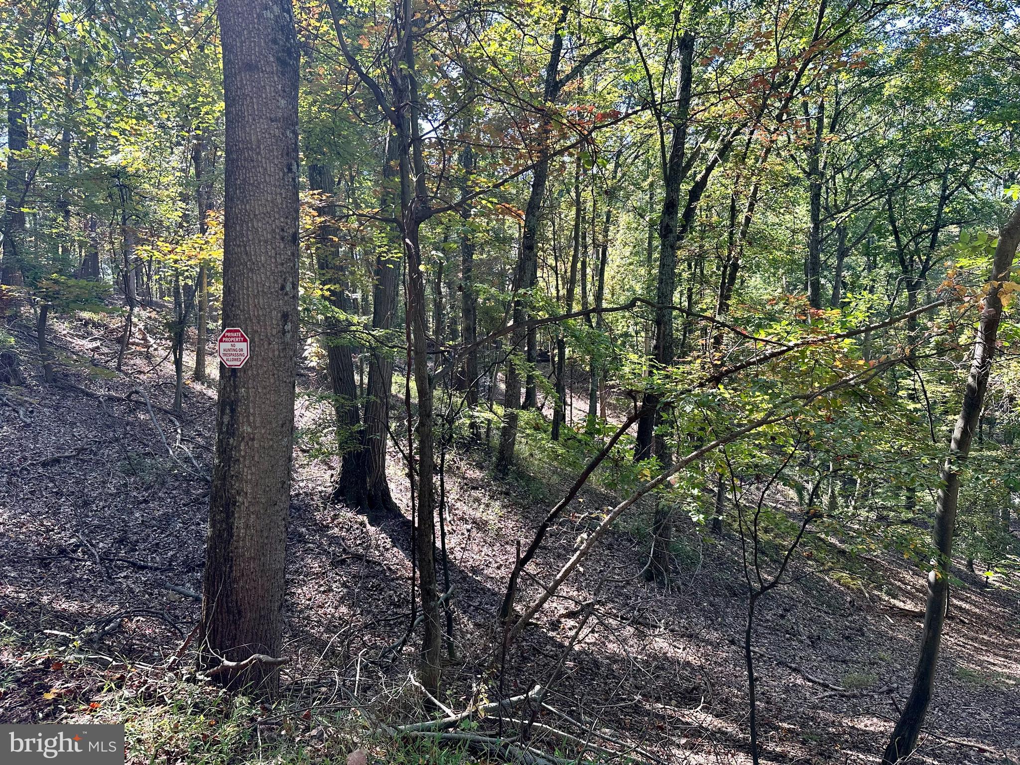 SPRING GAP MOUNTAIN - Land