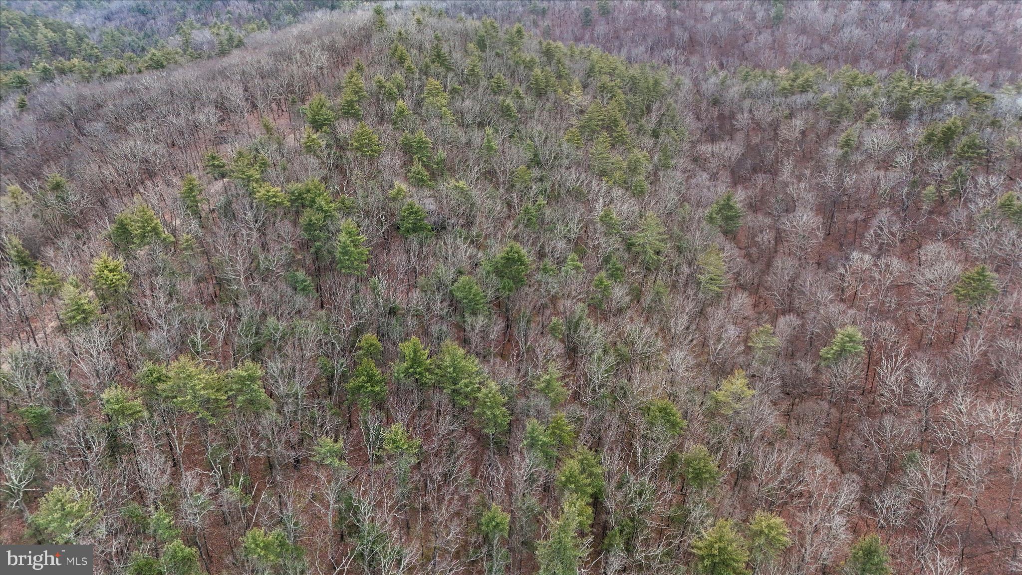 CEDAR RUN - Residential