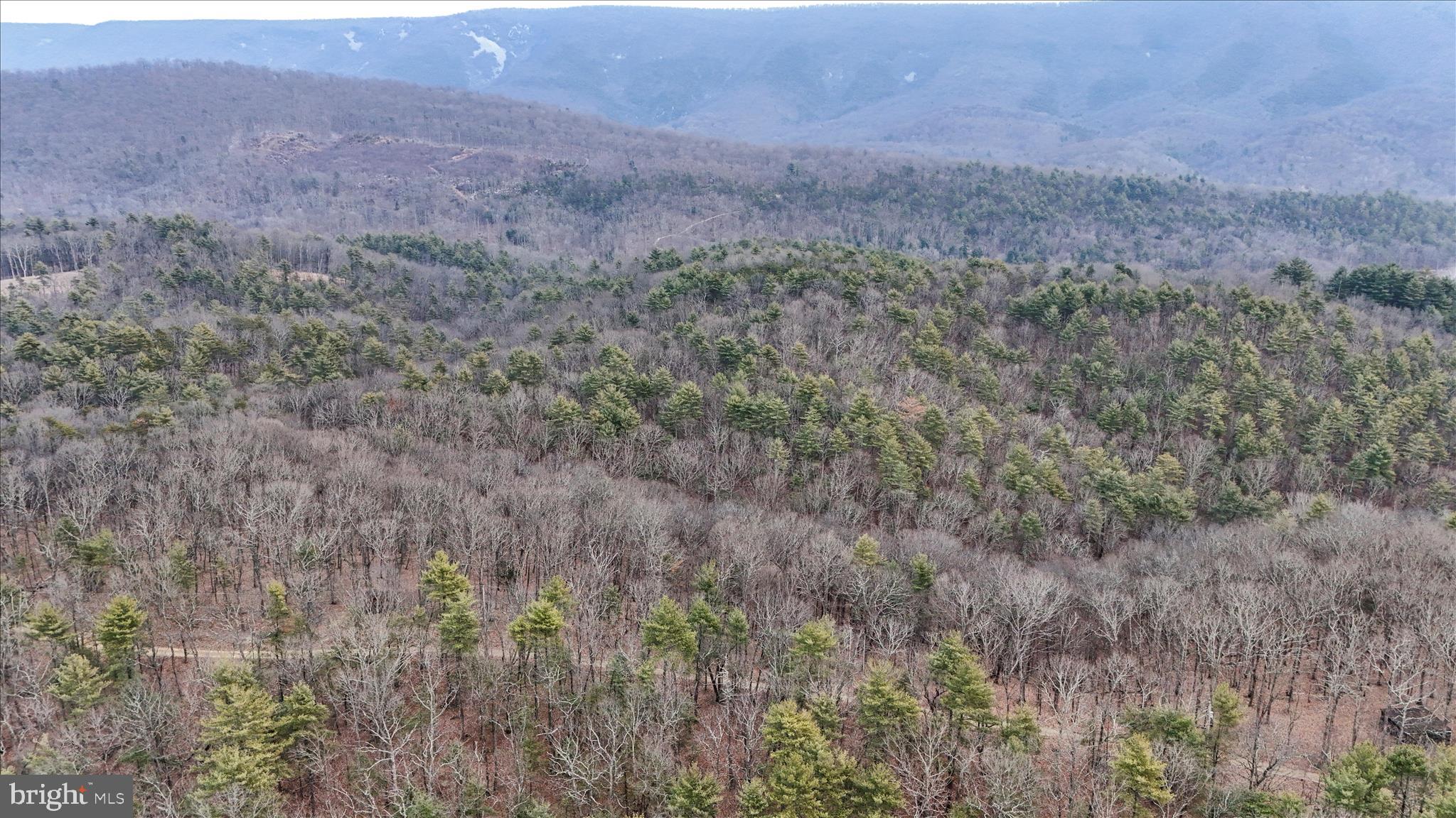 CEDAR RUN - Residential
