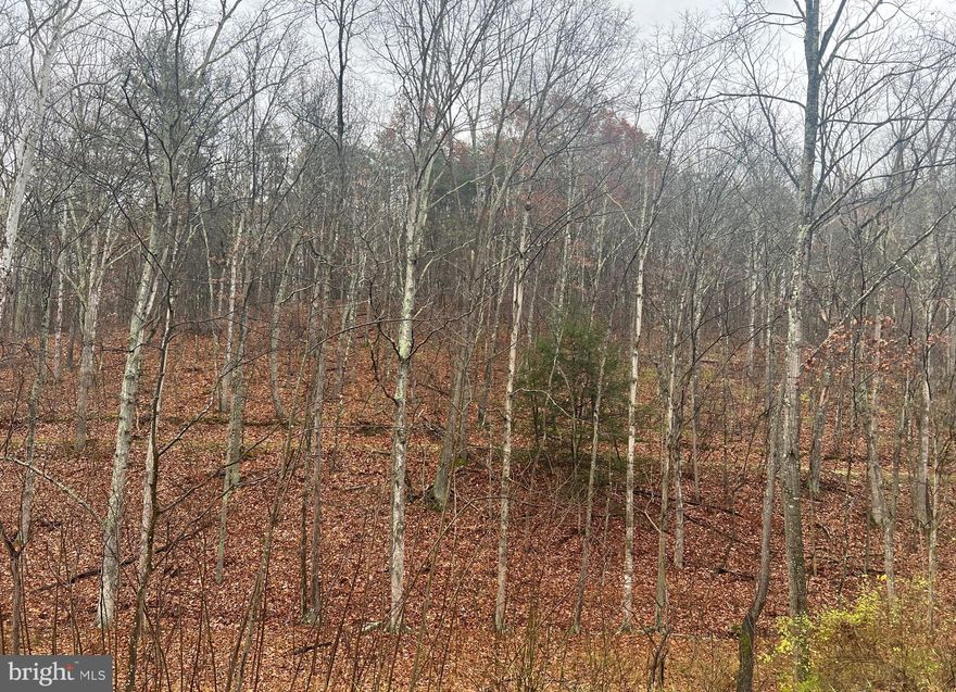 10 UNRESTRICTED, wooded acres fronting WV 9/Cacapon Road! This property already has a perc test on file with Berkeley-Morgan County Health Department and is located approximately 11 miles from downtown Berkeley Springs with all the local shops, spas, restaurants, and other amenities there is to offer; both of which make this property a must see!