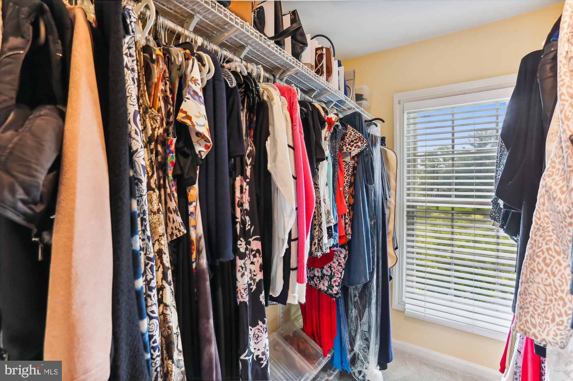 BELVEDERE - Residential