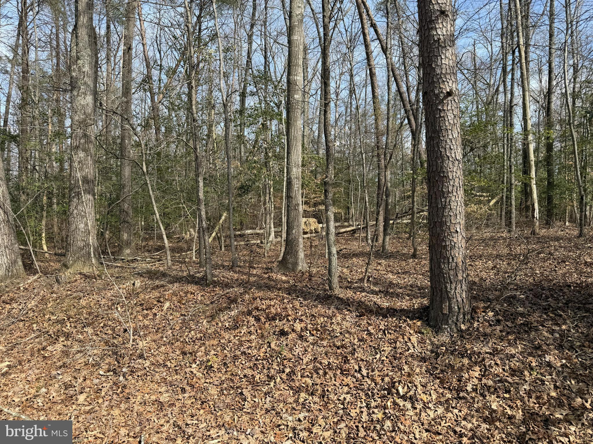 Lot 9A PARK AVE