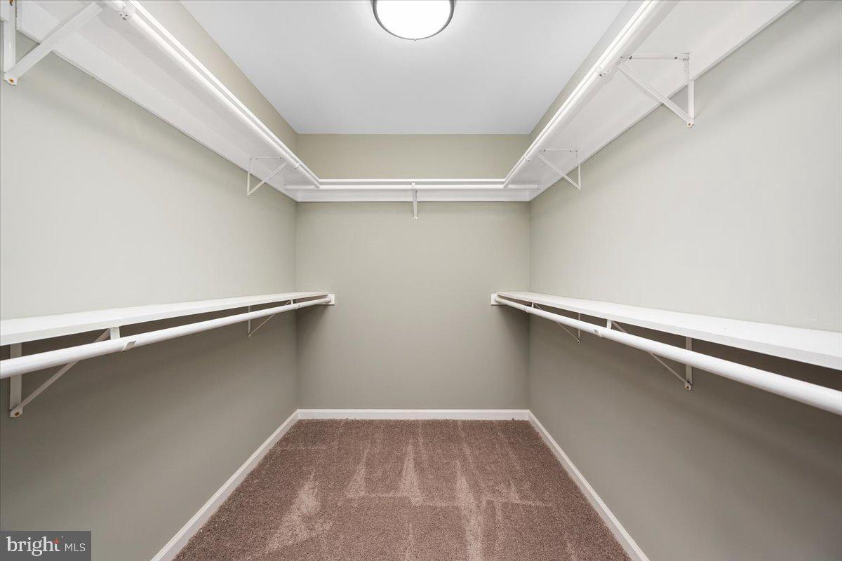 AVALON PARK - Residential