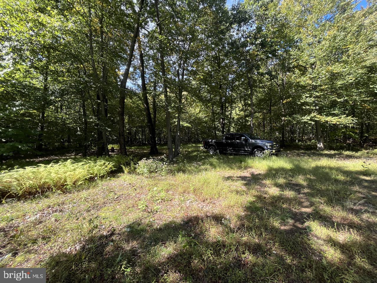 LAUREL MOUNTAIN TREE FARM - Residential