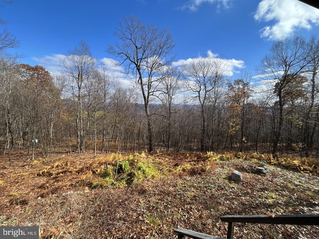 LAUREL MOUNTAIN TREE FARM - Residential