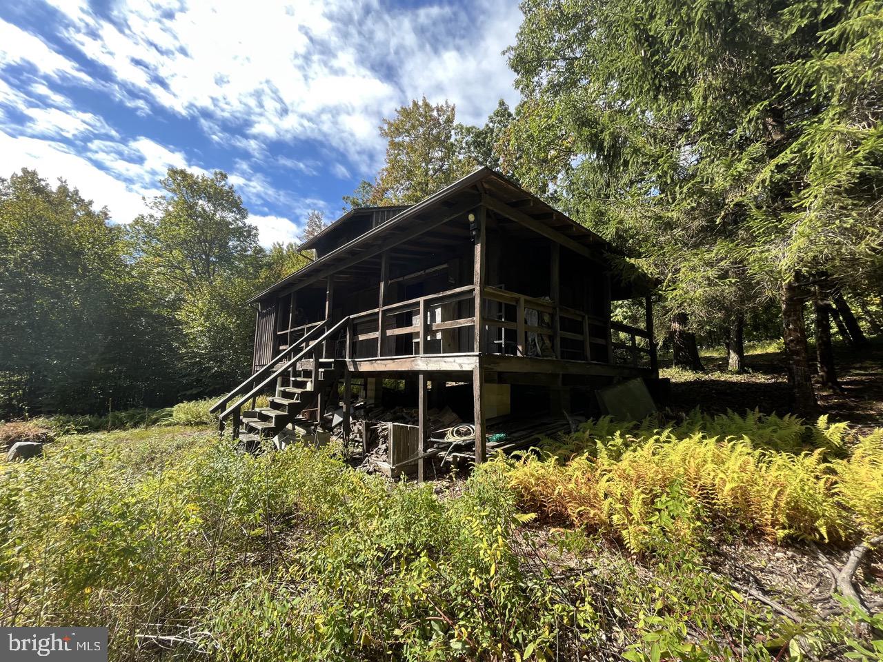 LAUREL MOUNTAIN TREE FARM - Residential