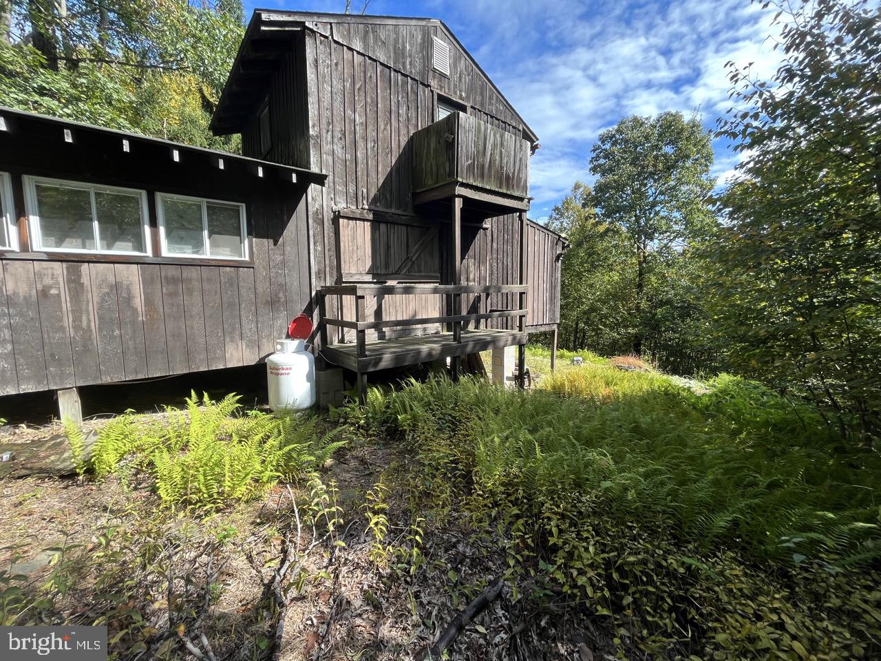 LAUREL MOUNTAIN TREE FARM - Residential
