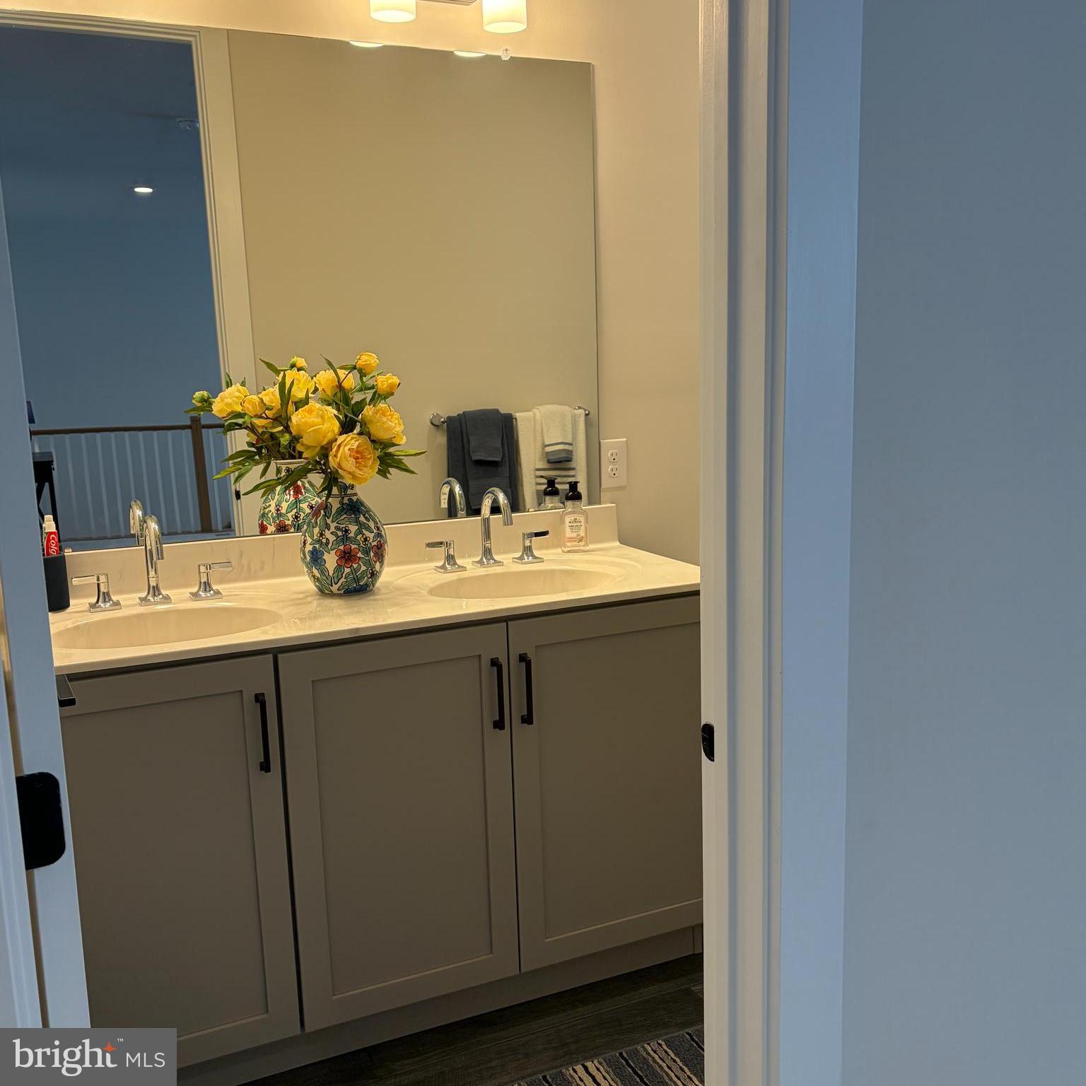 PRESERVE AT MARSH CREEK - CARRIAGE COLLECTION - Residential