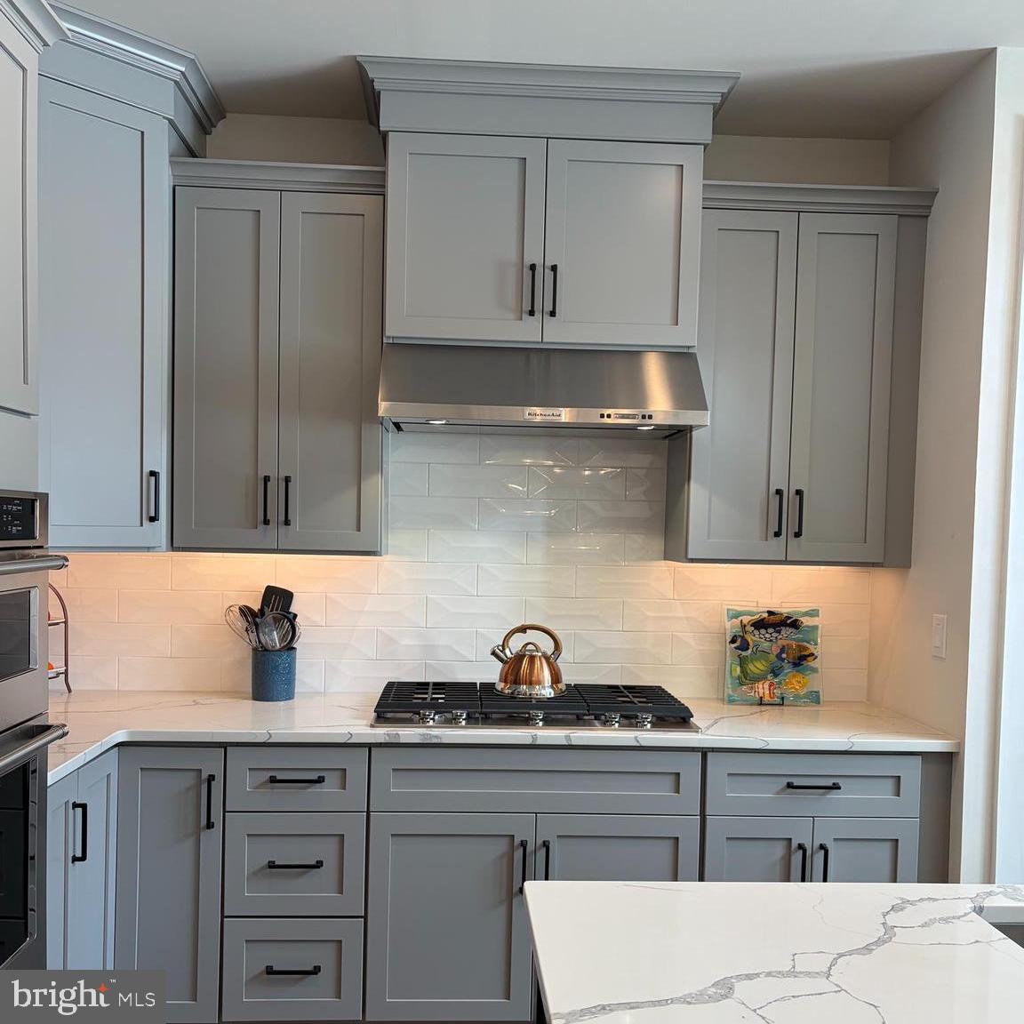 PRESERVE AT MARSH CREEK - CARRIAGE COLLECTION - Residential