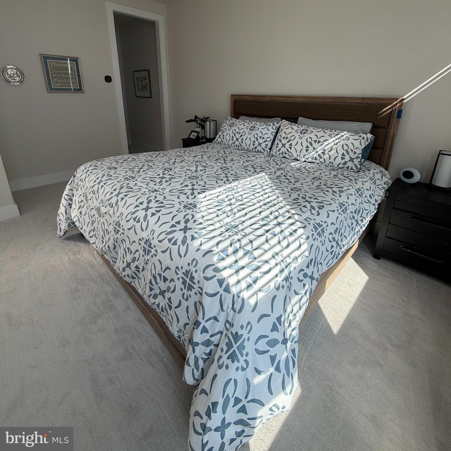 PRESERVE AT MARSH CREEK - CARRIAGE COLLECTION - Residential