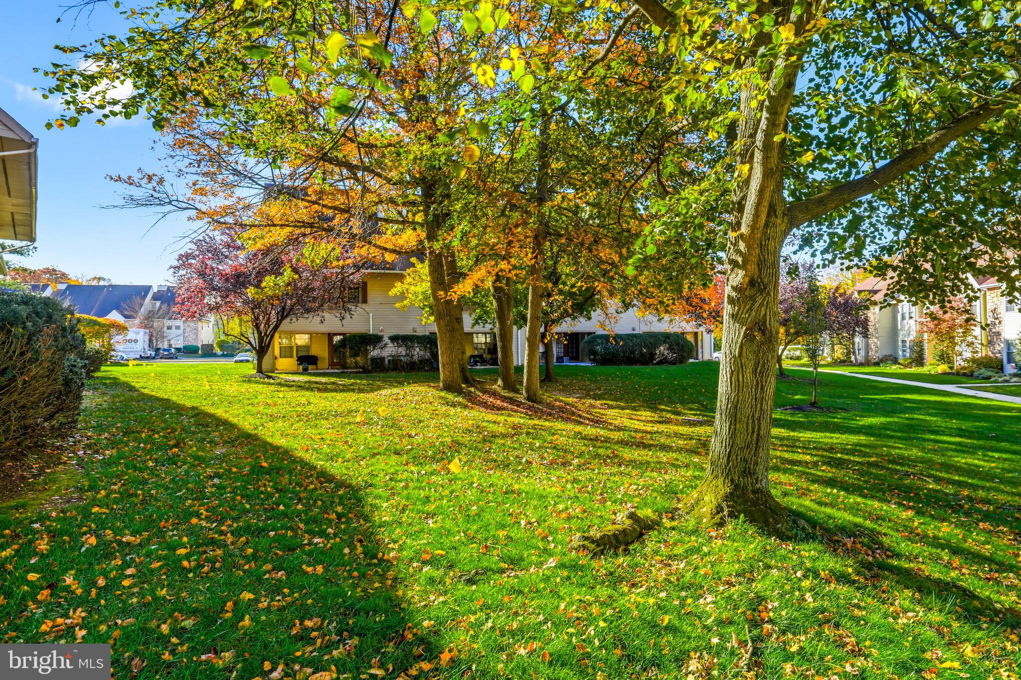 TAVISTOCK - Residential