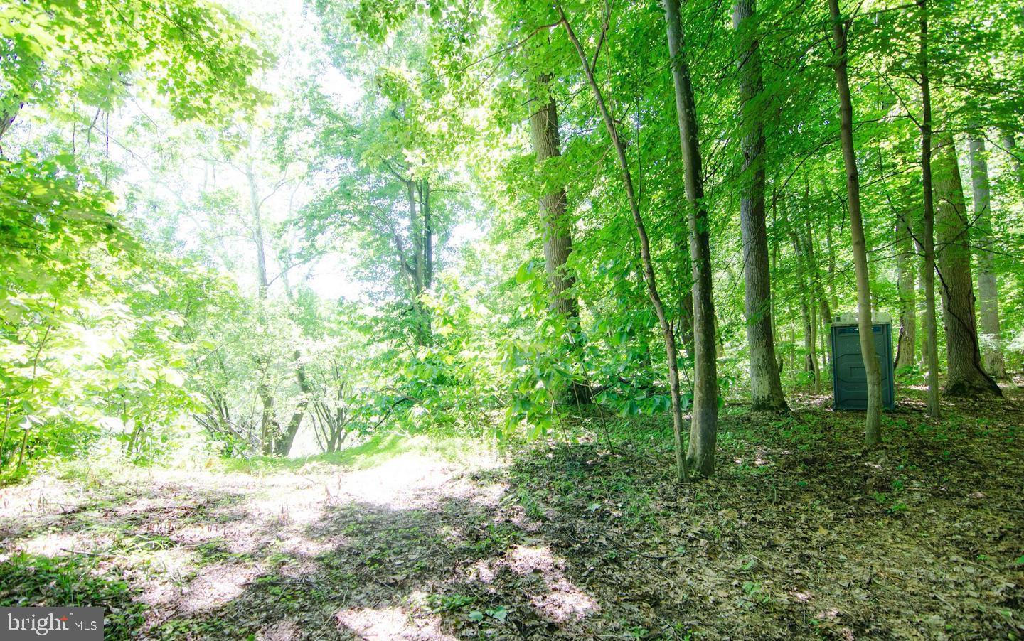 STEAMBOAT RUN ESTATES - Residential