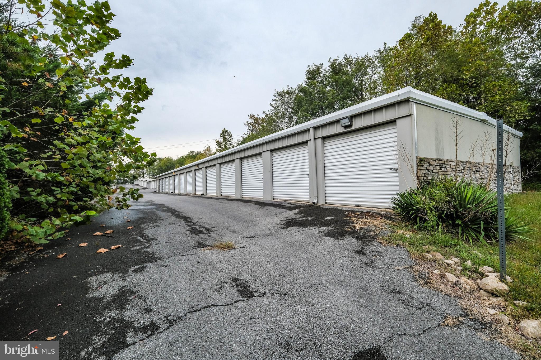 2915 DISMAL HOLLOW ROAD