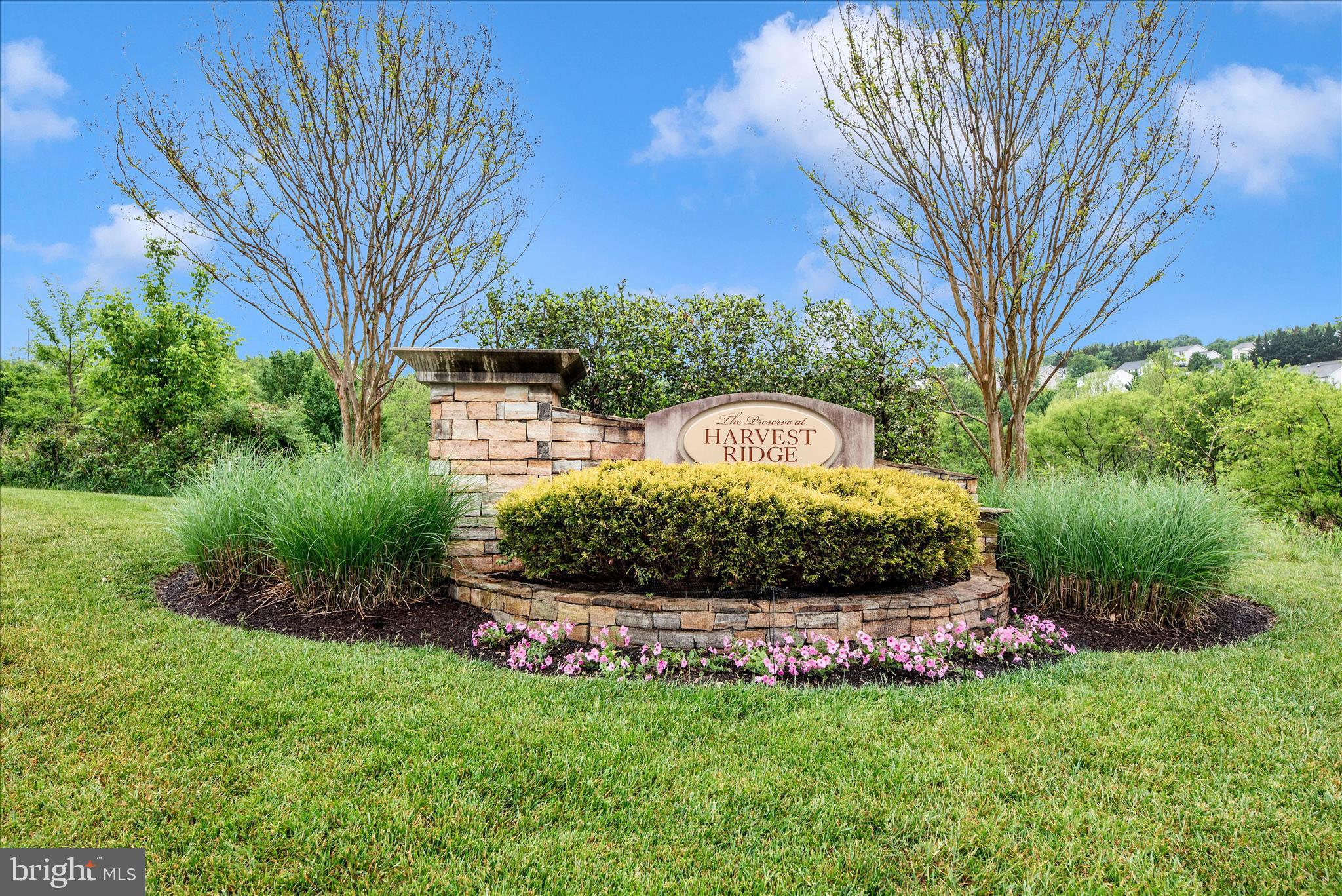THE PRESERVE AT HARVEST RIDGE - Residential