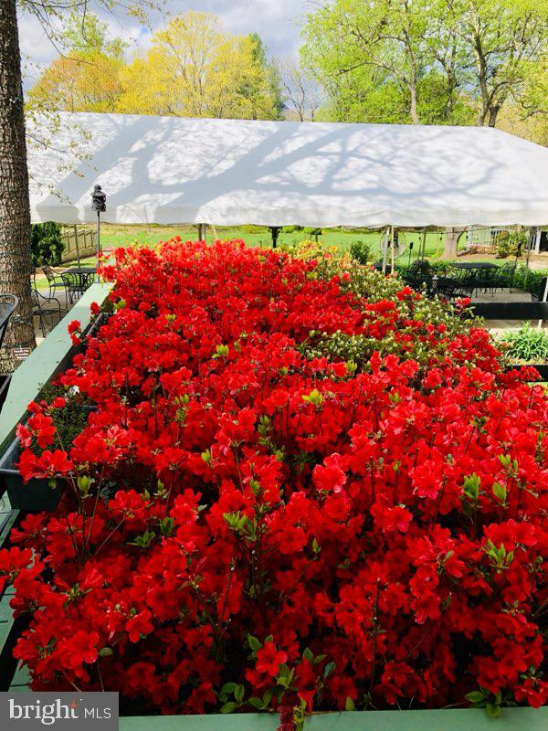 NONE AVAILABLE - Commercial Sale