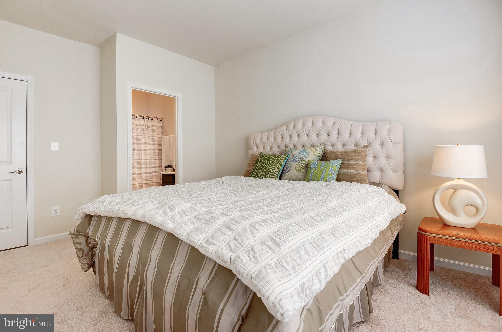 LOVETTSVILLE TOWN CENTER - Residential