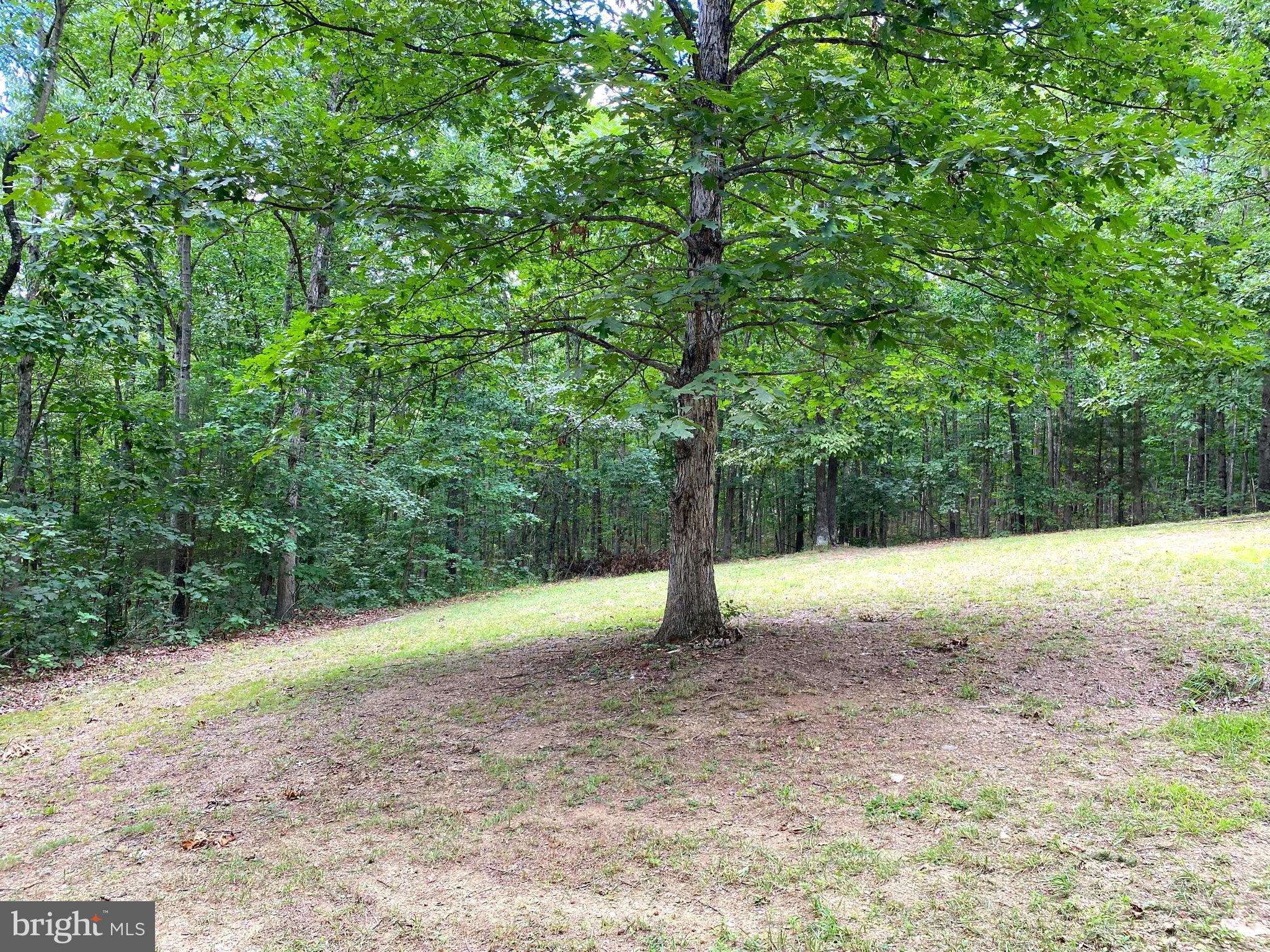 FOXCREST MANOR - Residential