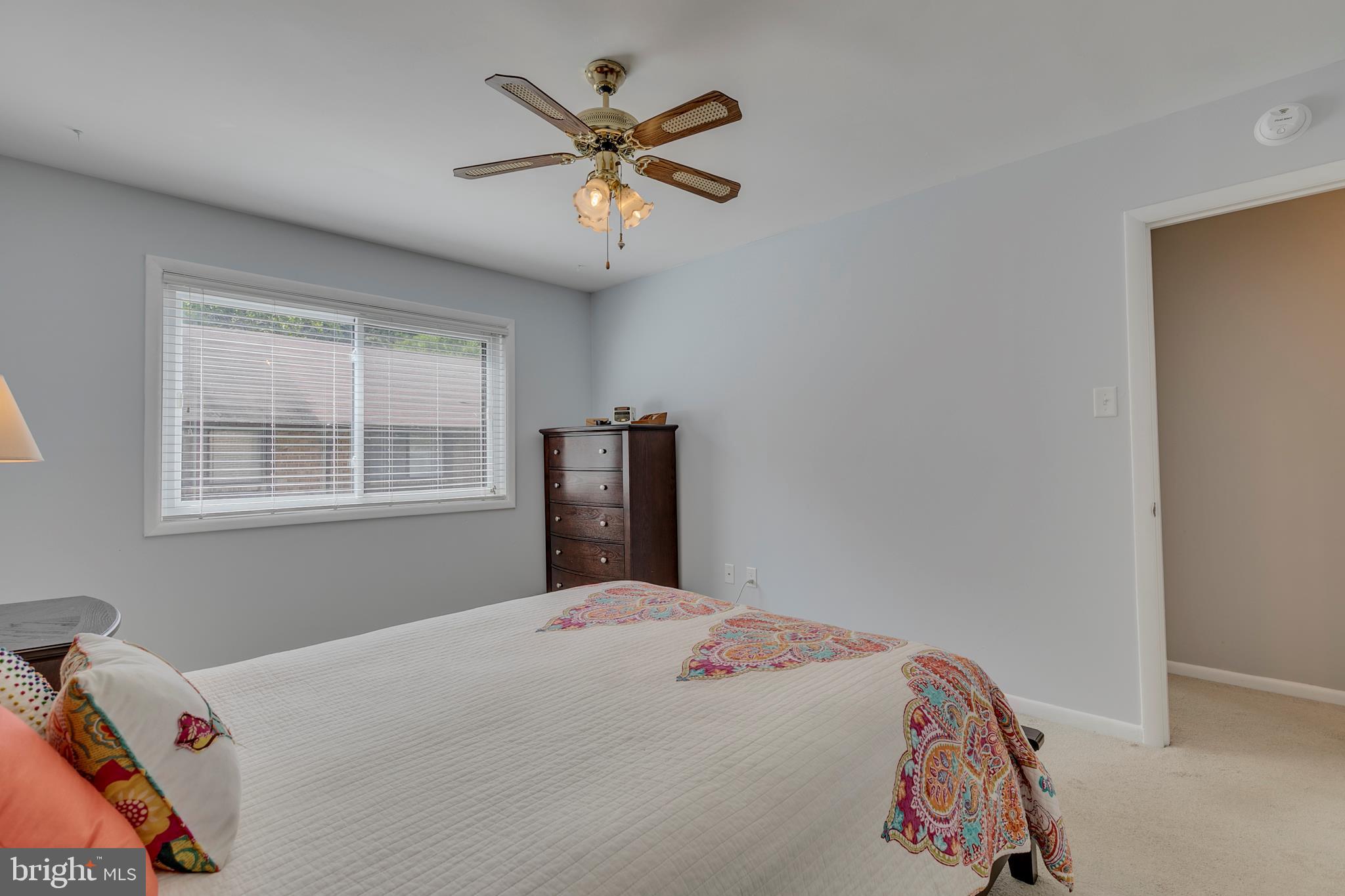 CINNAMON TREE - Residential