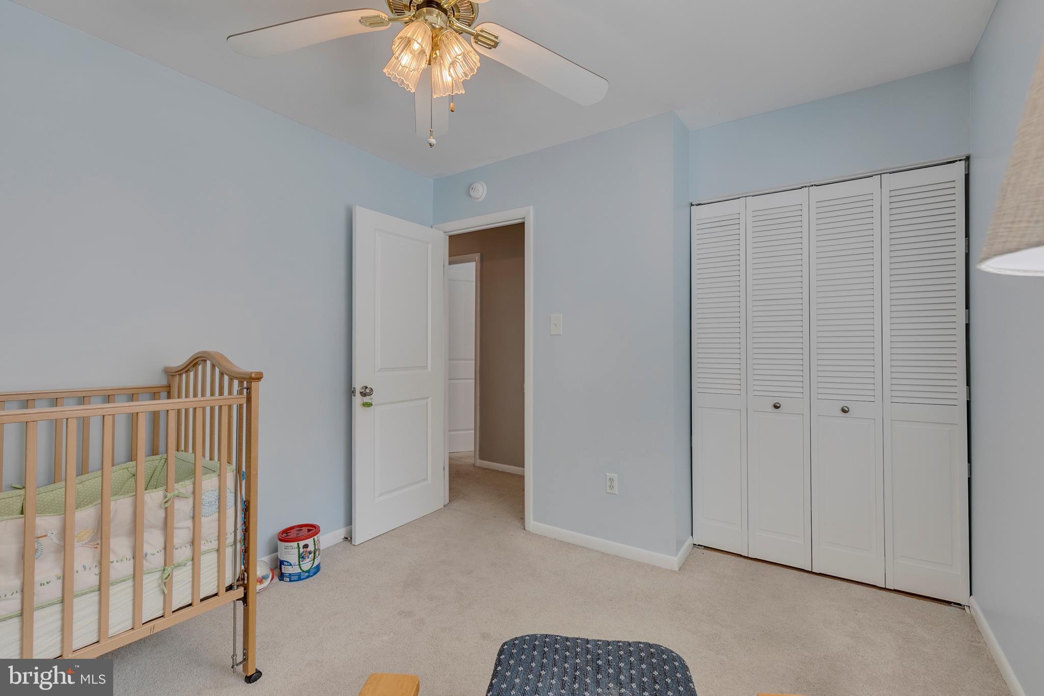 CINNAMON TREE - Residential