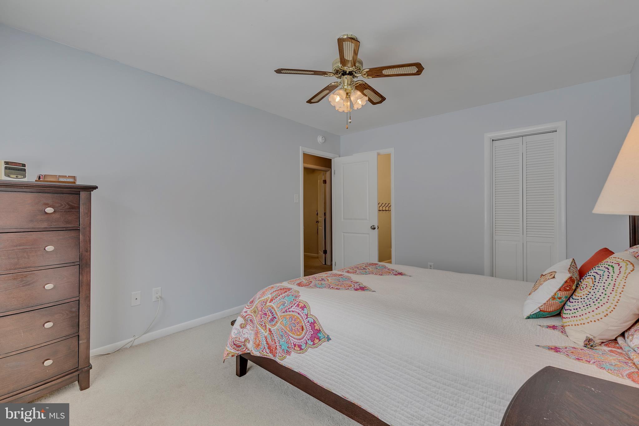 CINNAMON TREE - Residential