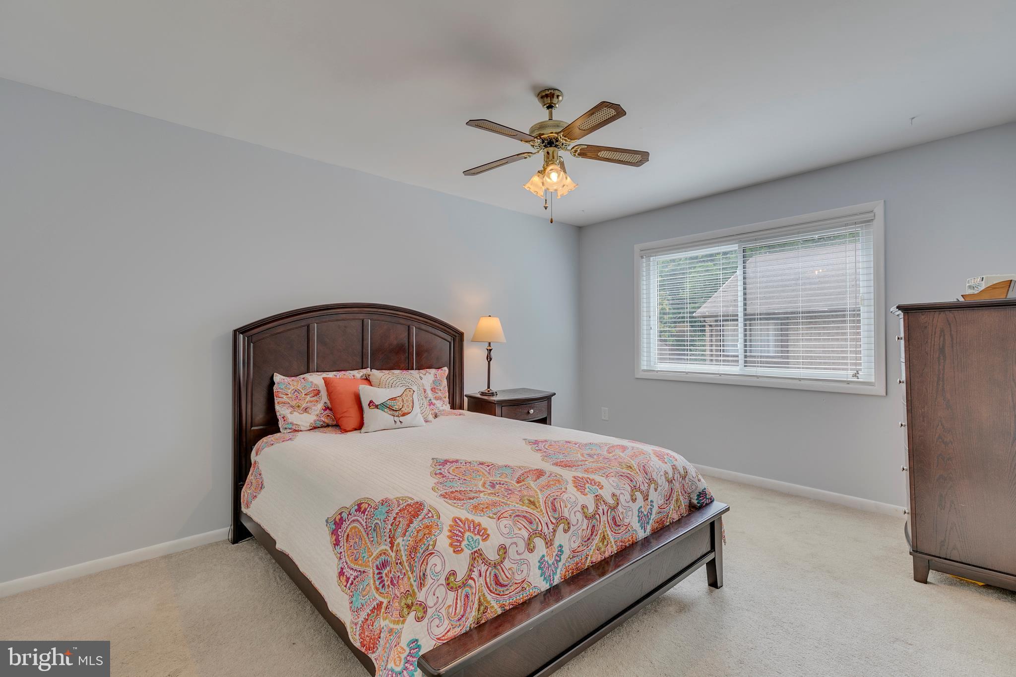 CINNAMON TREE - Residential