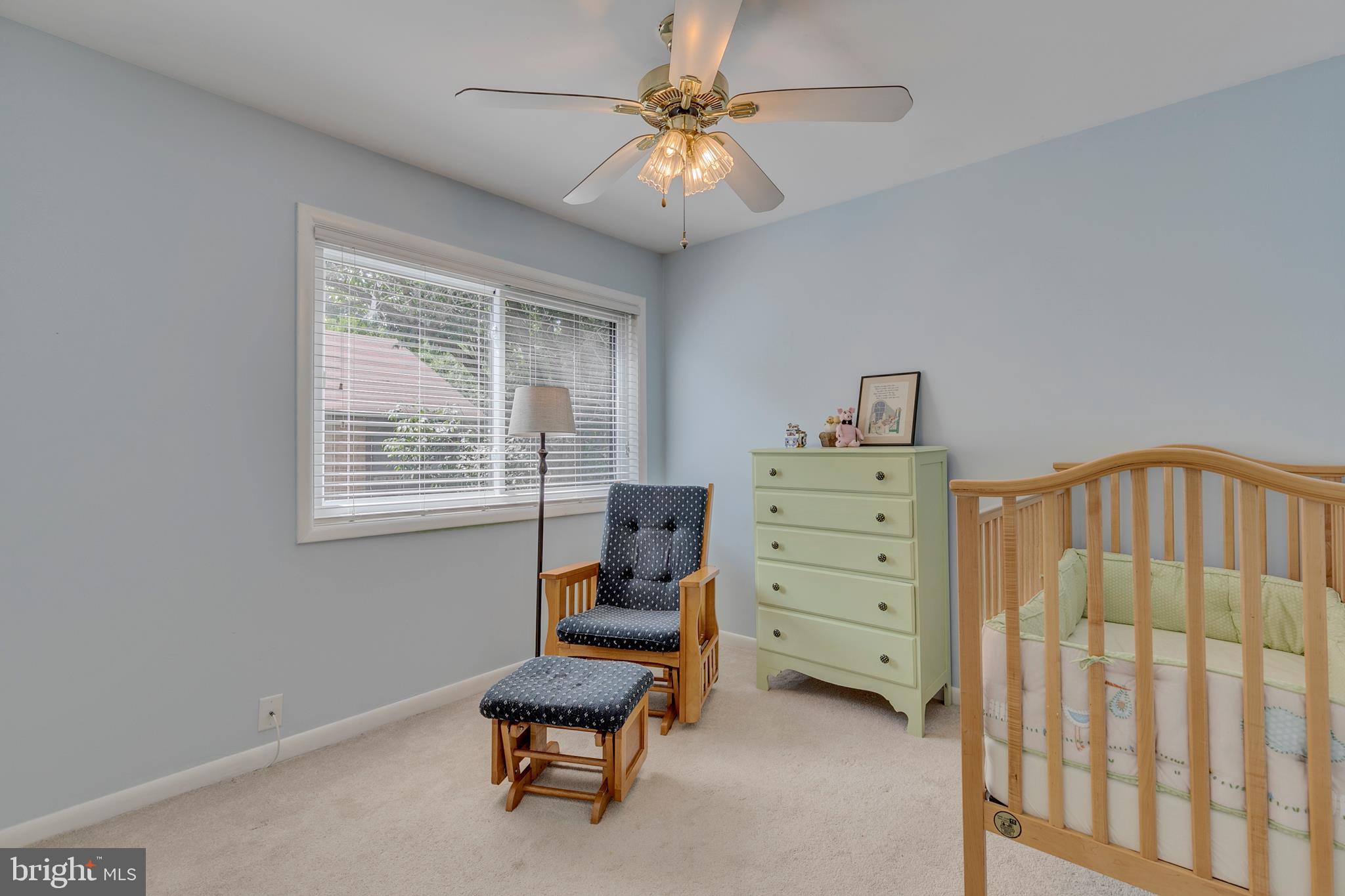 CINNAMON TREE - Residential