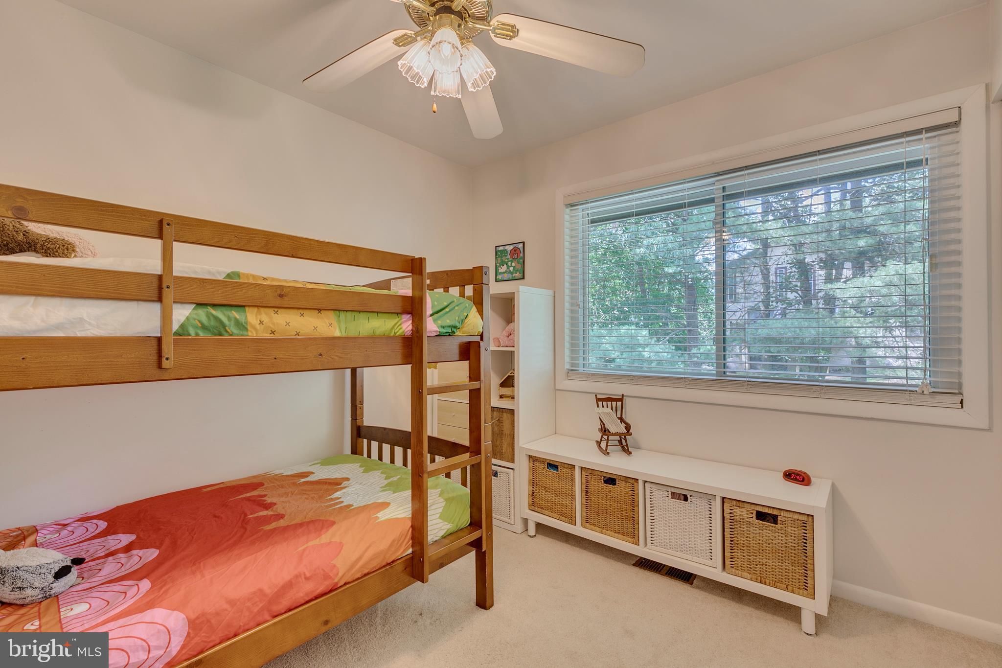 CINNAMON TREE - Residential