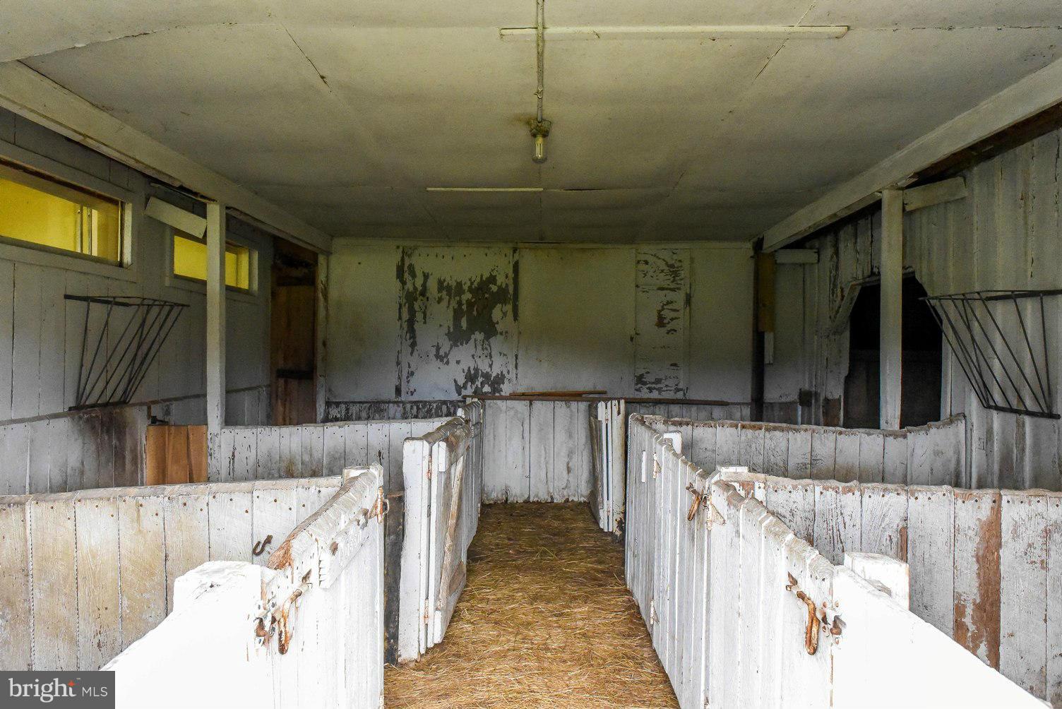 NONE AVAILABLE - Farm