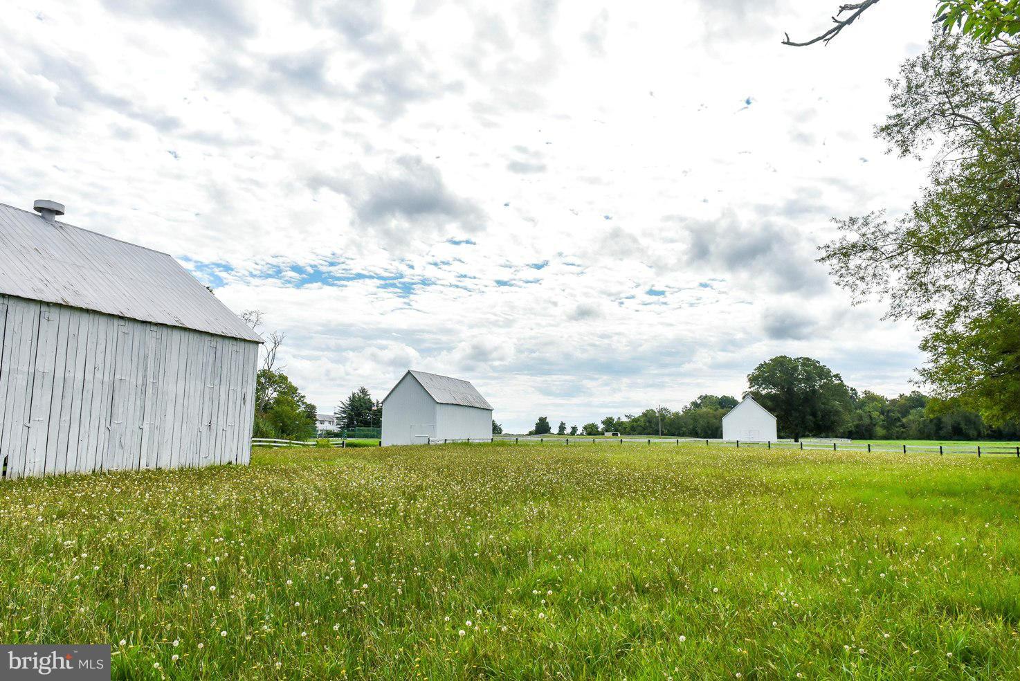 NONE AVAILABLE - Farm