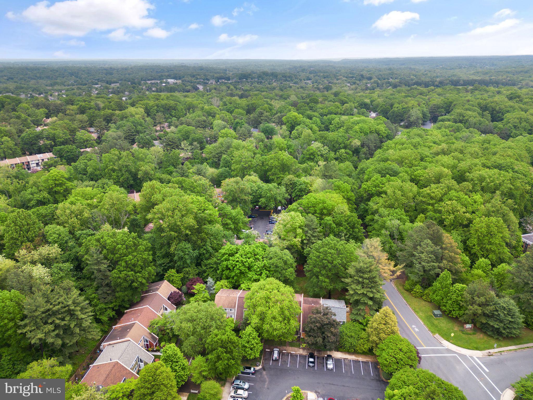 FOREST EDGE - Residential