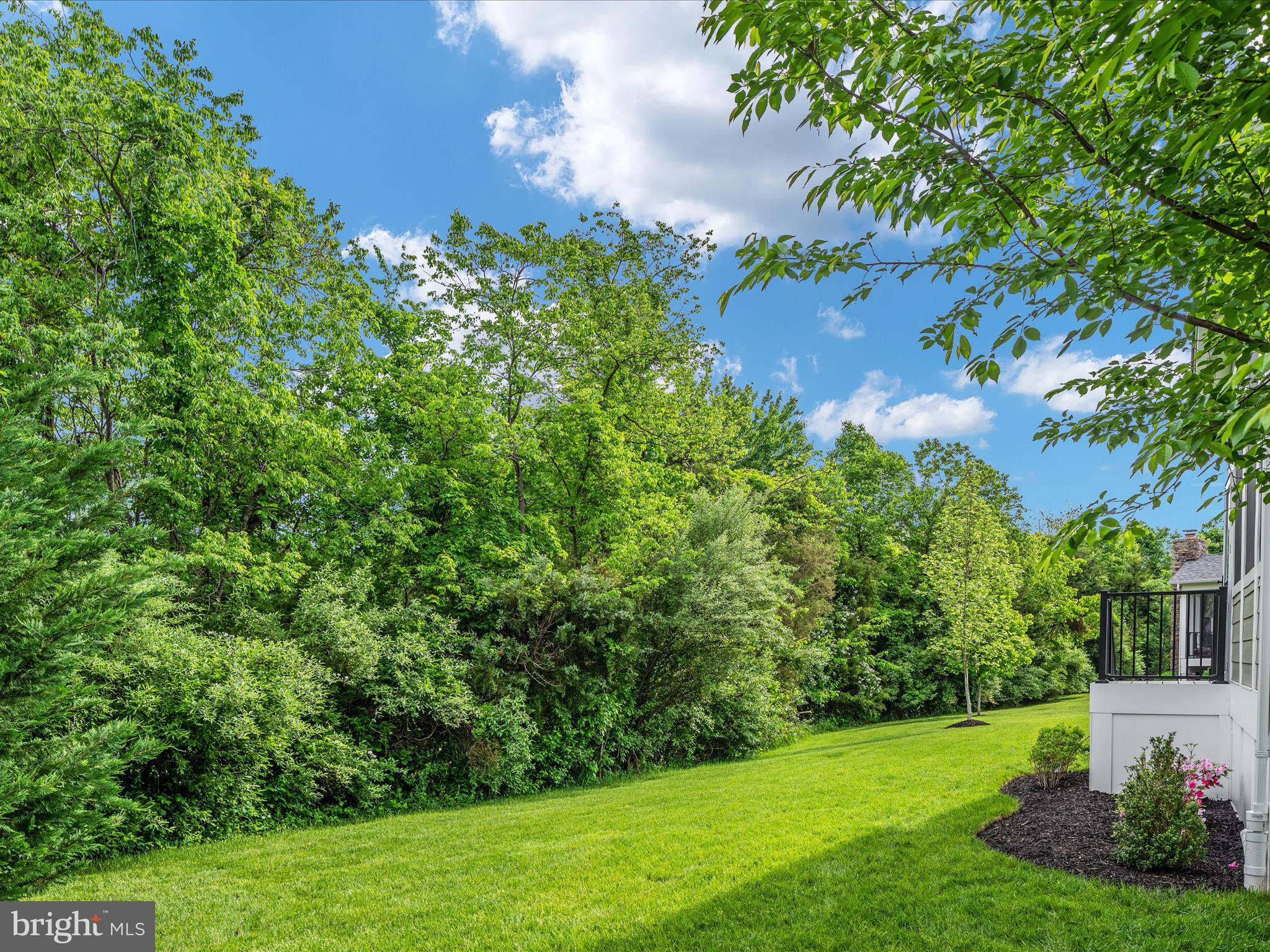 GROVE AT WILLOWSFORD - Residential