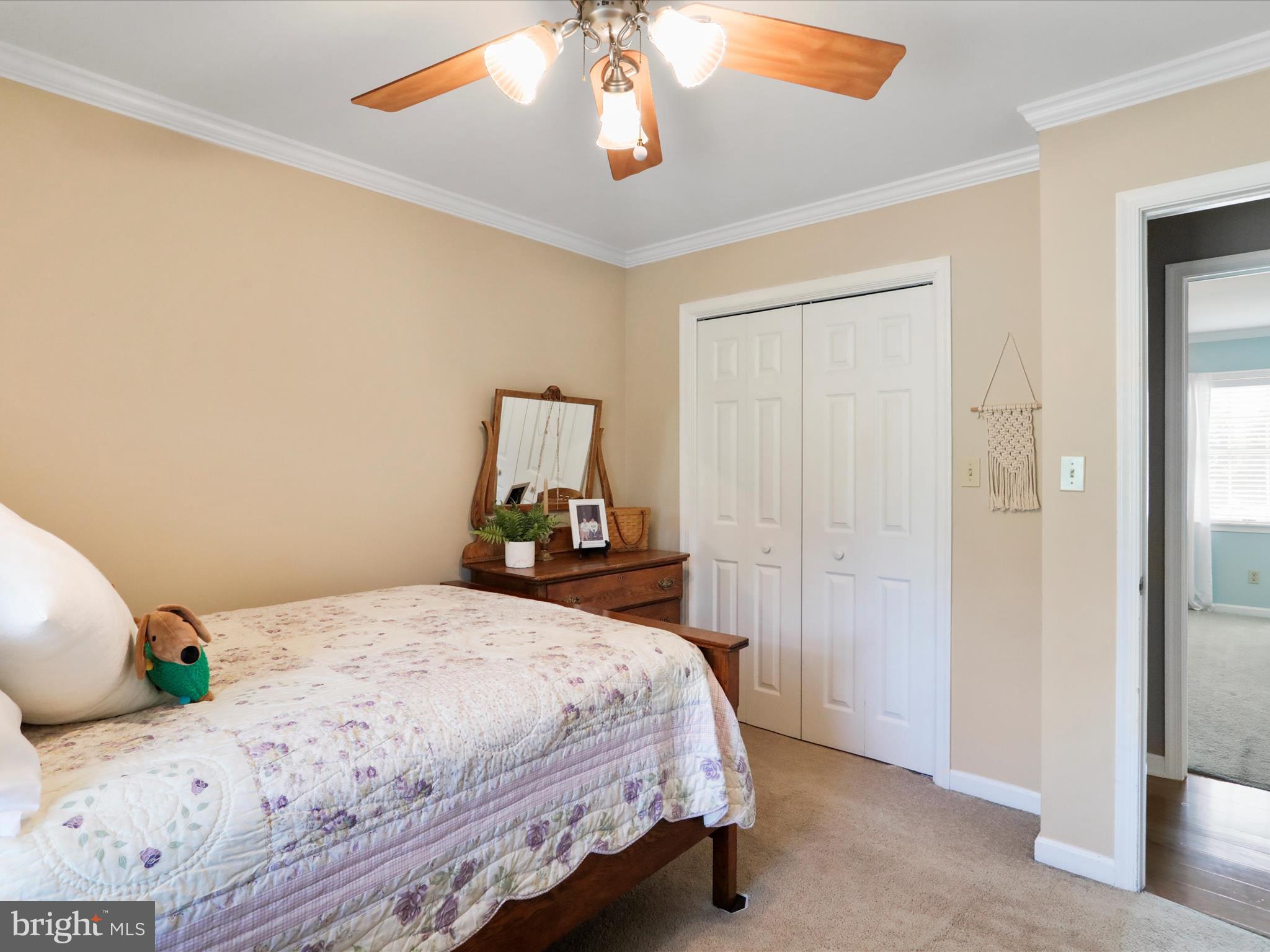 WAYNE HEIGHTS - Residential